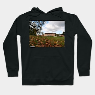 Autumn leaves in front of South Hill Park Arts centre Hoodie